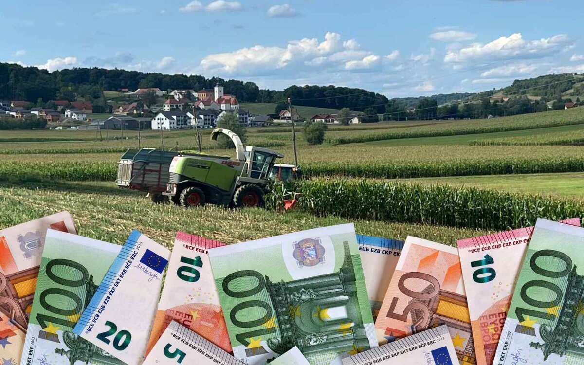 Kmetovanje v Jurovskem Dolu v občini Sveti Jurij v Slovenskih goricah, kjer so na javnem razpisu za podporo lokalnim kmetom razdelili 10.000 evrov.