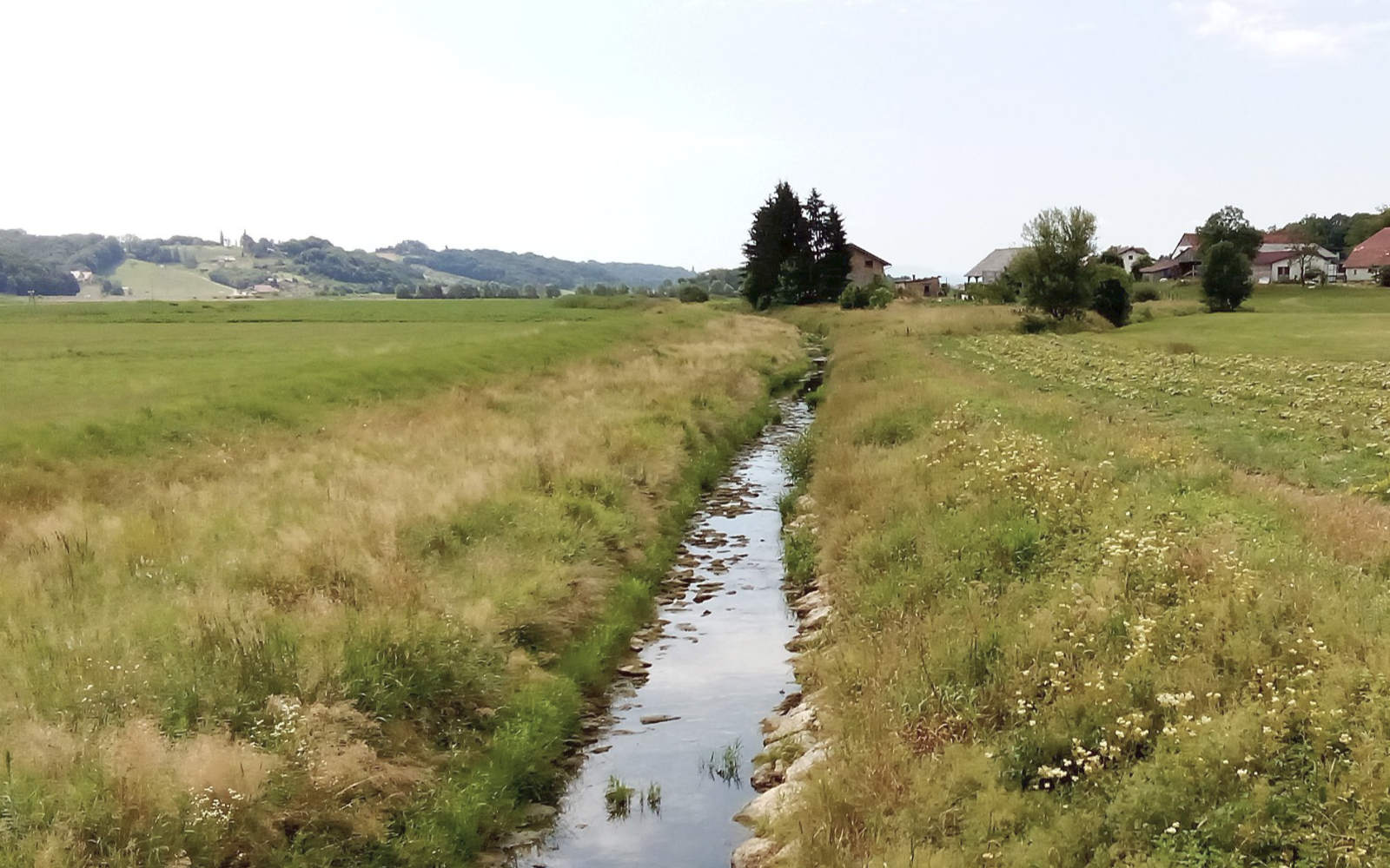 Reka Drvanja v Zgornjih Verjanah je zaradi suše skoraj presahnila.