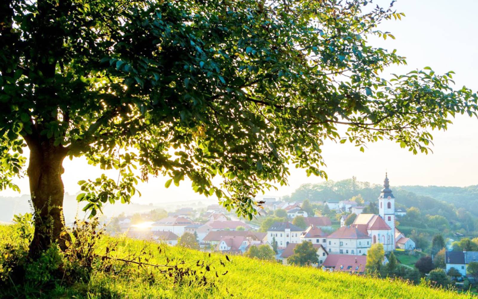 Pogled na Lenart, največje naselje v Slovenskih goricah, z mestnim jedrom.