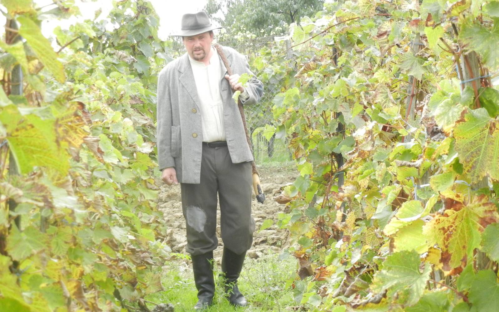 Priimek Ovtar ni značilen za Slovenske gorice, pač pa za Savinjsko